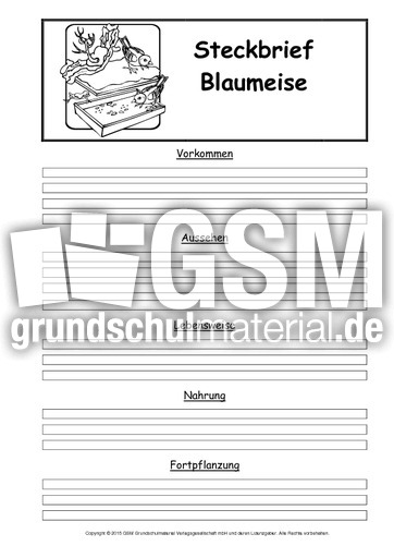 Steckbriefvorlage-Blaumeise.pdf